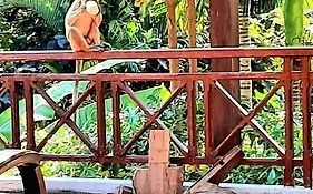 Jungle House Kep